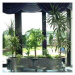 Pflanzkübel Edelstahl Pflanzkübel 