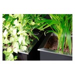 Pflanzkübel Edelstahl Pflanzkübel PG-120