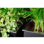 Pflanzkübel Edelstahl Pflanzkübel 